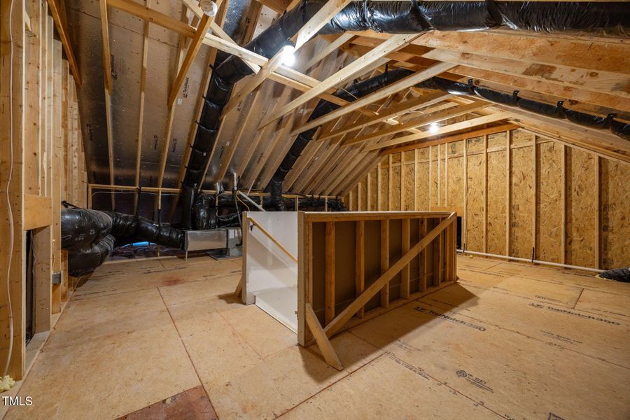 50-web-or-mls-IMG_8308 50-web-or-mls-IMG_8308