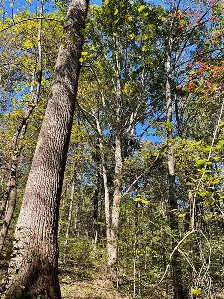 Image 4 of a home in .