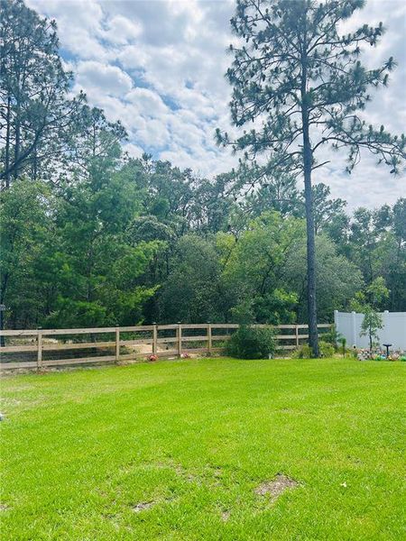 Natural landscape and outdoor views near  in Dunnellon (Image 33).