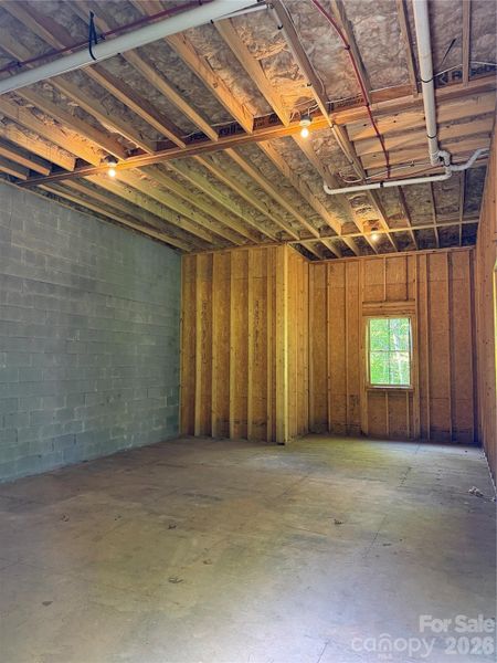 Huge Storage Space in basement