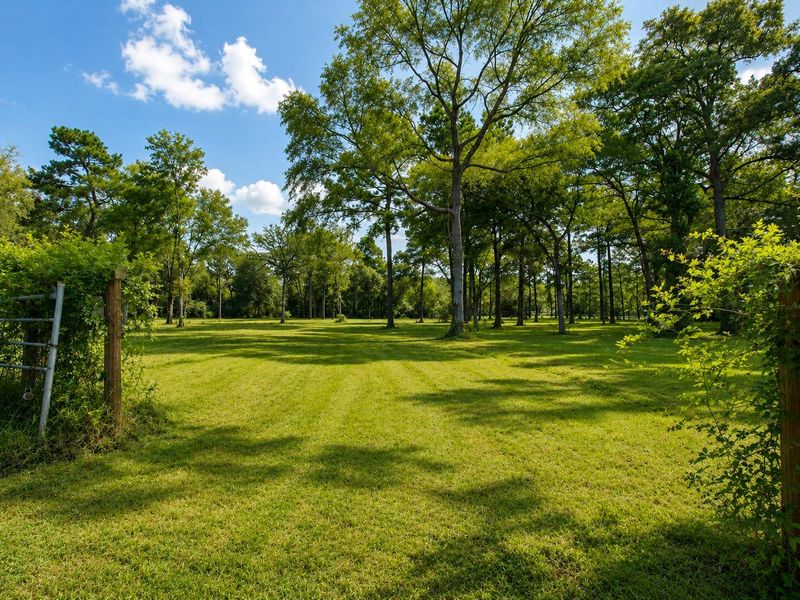 Cross fenced for the family pets! Cross fenced for the family pets!