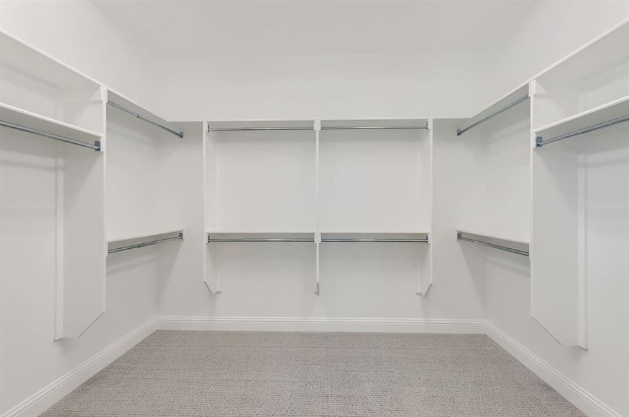 Spacious closet featuring carpet floors