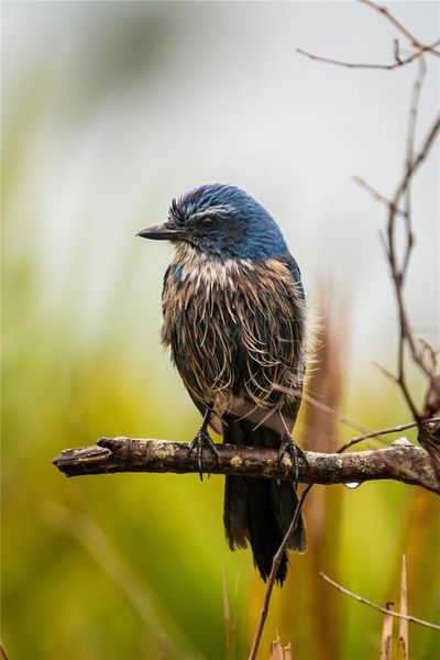 Image 58 of a home in . Image 58 of a home in .