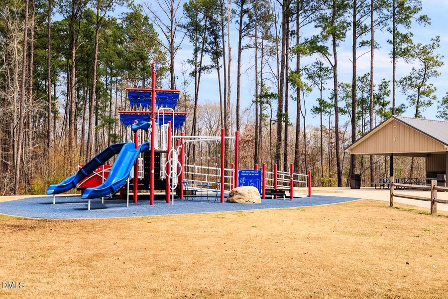 Lillington River Park (1)