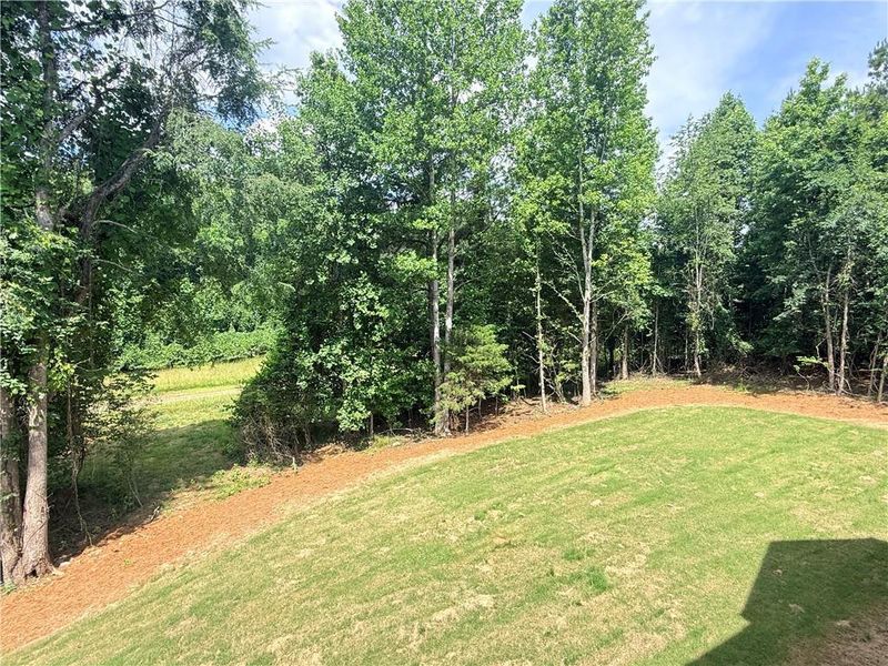 Natural landscape and outdoor views near  in Jefferson (Image 59).