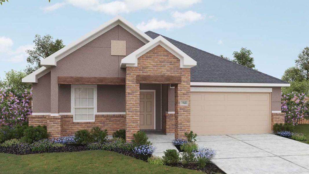 Elevation P Elevation P