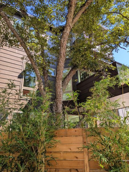 Front exterior of a new home in , Austin, TX, highlighting curb appeal (Image 23). Front exterior of a new home in , Austin, TX, highlighting curb appeal (Image 23).