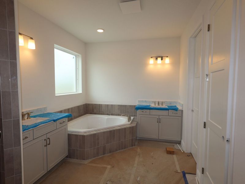 Owner's Bathroom