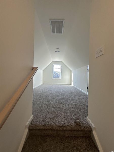 Additional living space featuring vaulted ceiling and dark carpet
