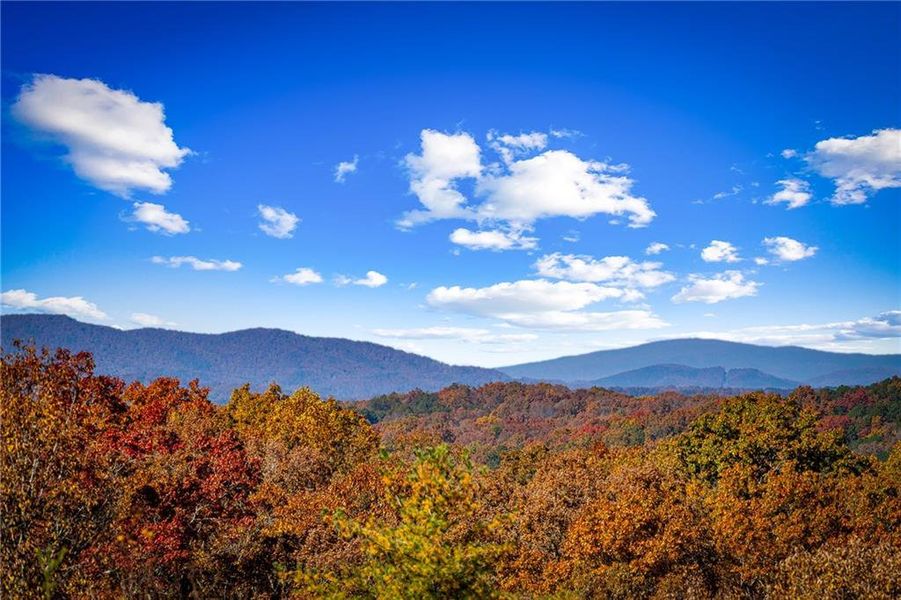 Natural landscape and outdoor views near  in Blue Ridge (Image 44).