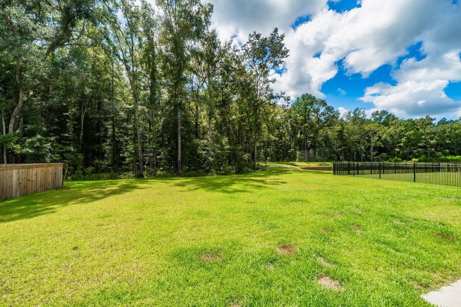 Natural landscape and outdoor views near  in Huger (Image 35).