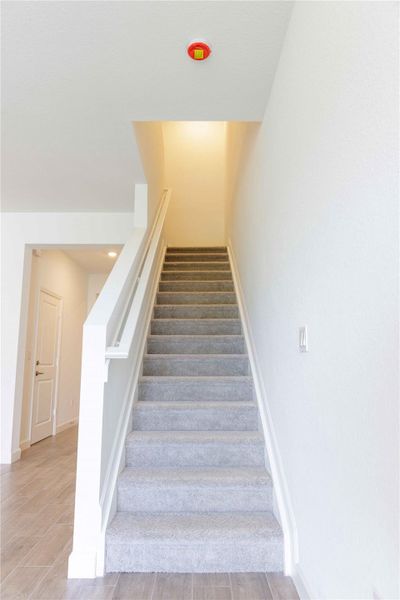 A wide staircase fully carpeted.