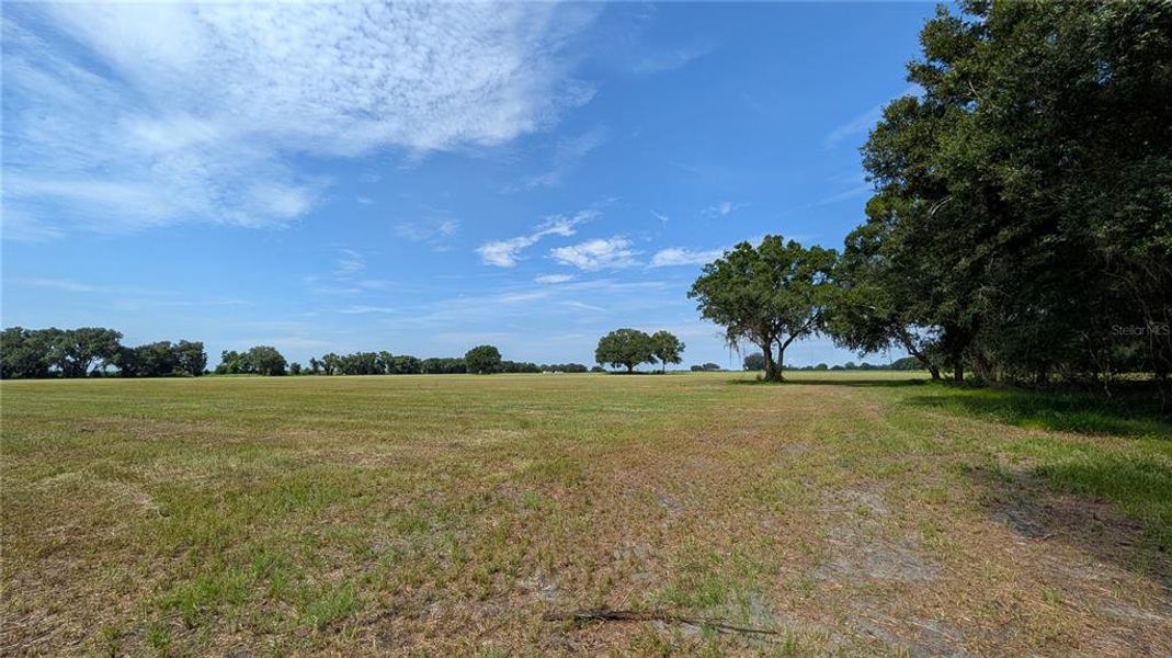Natural landscape and outdoor views near  in Wauchula (Image 42).