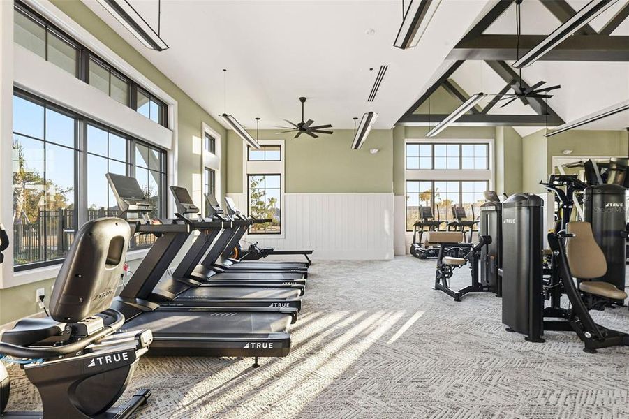 Community amenities in Vida's Way, Wesley Chapel (Image 76).