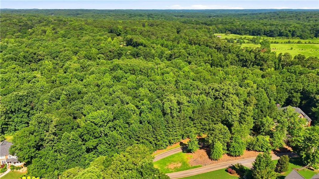 Natural landscape and outdoor views near  in Conyers (Image 17).