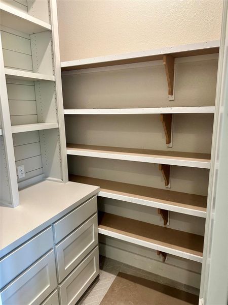 Large pantry wit custom built in's