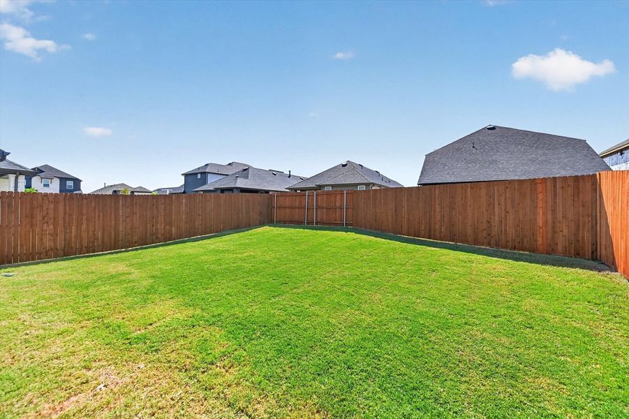 Backyard