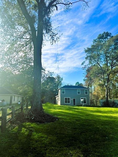 Look at the size of this back yard!