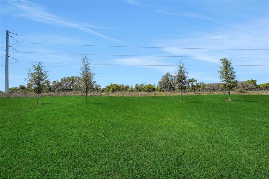 Natural landscape and outdoor views near Willowbrook North in Winter Haven (Image 41).