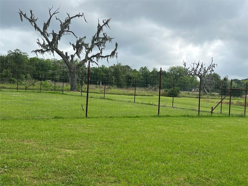 Natural landscape and outdoor views near  in Brazoria (Image 13).