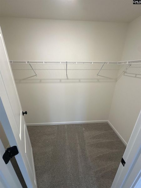 Spacious, unfurnished interior of a new home in Piney Woods Bluff, Columbia (Image 15).