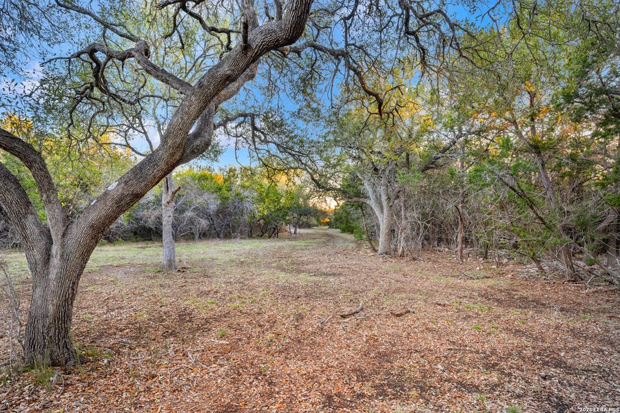 Natural landscape and outdoor views near  in Bulverde (Image 32).