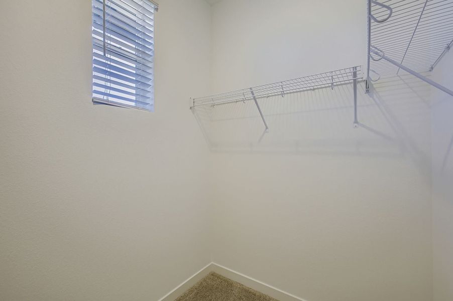 845 Merganser DR, Fort Collins, CO.  - Slide 20