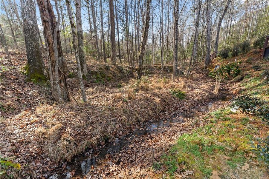 Natural landscape and outdoor views near in Loganville (Image 92). Natural landscape and outdoor views near in Loganville (Image 92).