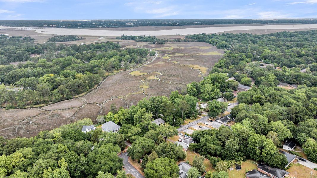 Natural landscape and outdoor views near  in Charleston (Image 36).