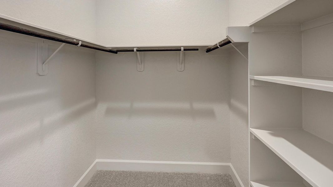 Spacious, unfurnished interior of a new home in Alsatian Oaks 50', Castroville (Image 17).