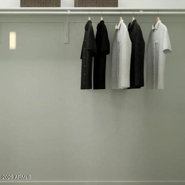 Owners Walk in Closet