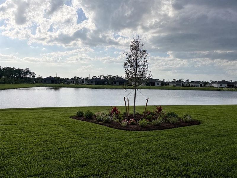 Natural landscape and outdoor views near Island Lakes at Coco Bay in Englewood (Image 12). Natural landscape and outdoor views near Island Lakes at Coco Bay in Englewood (Image 12).
