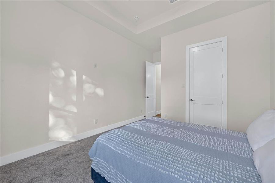 Bedroom featuring neutral wall paint, gray carpet flooring, a tray ceiling, and white interior doors with dark hardware Bedroom featuring neutral wall paint, gray carpet flooring, a tray ceiling, and white interior doors with dark hardware