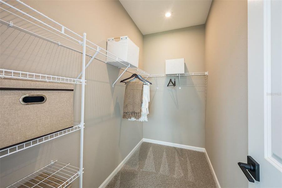 Spacious, unfurnished interior of a new home in Pasadena Ridge Master, Dade City (Image 21).