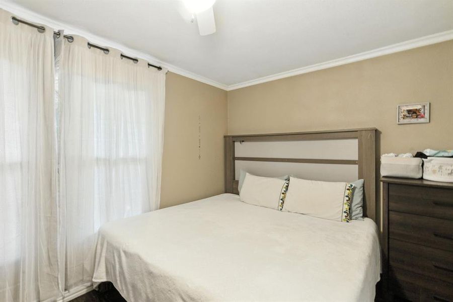 Bedroom featuring ornamental molding and a ceiling fan Bedroom featuring ornamental molding and a ceiling fan