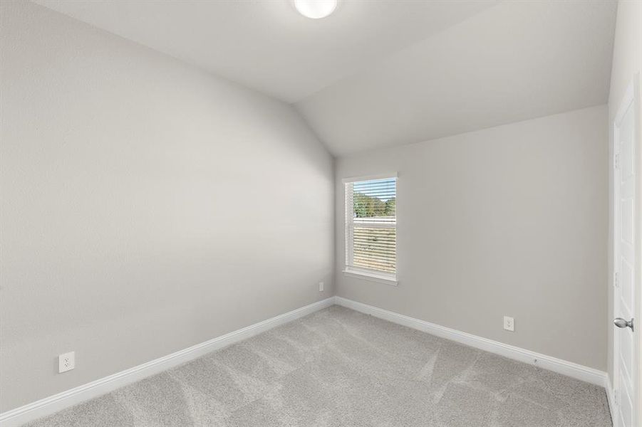 04. 141 Whistling Duck - Bed 2