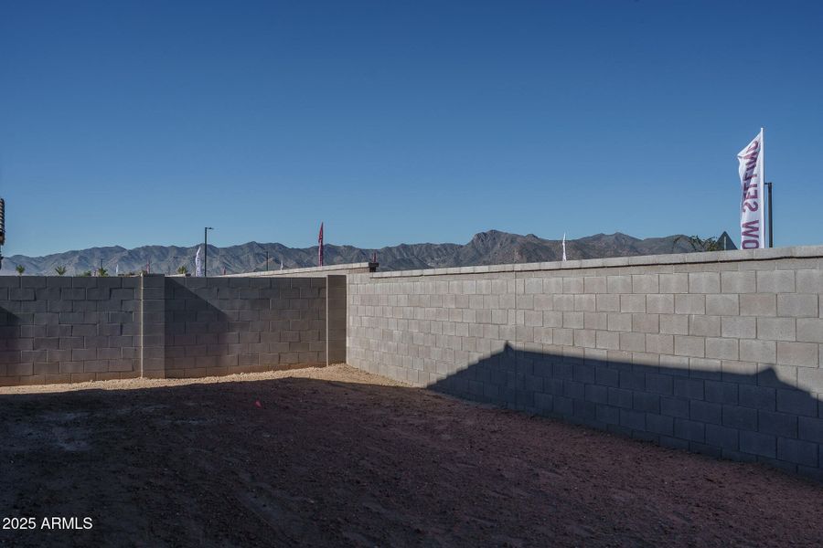 28) BACKYARD 28) BACKYARD