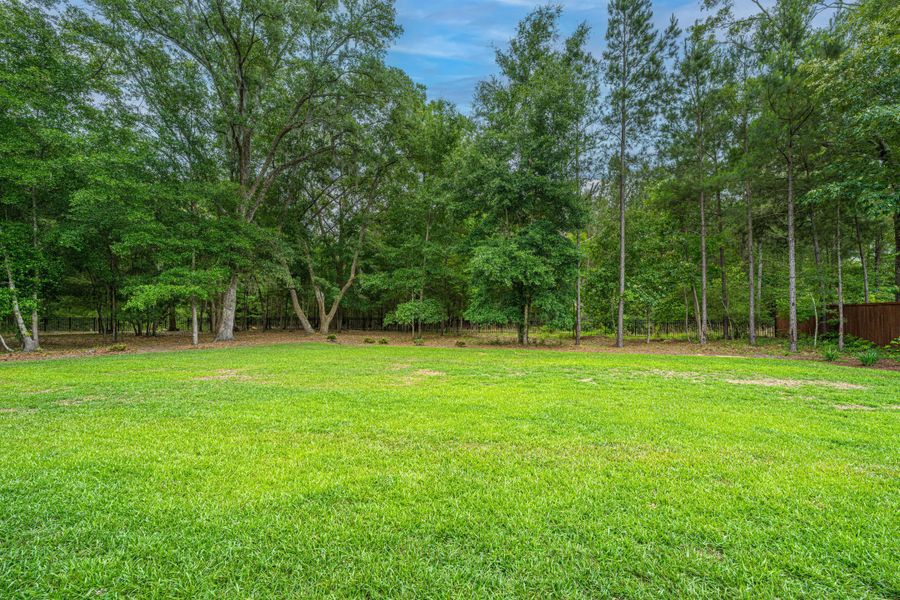 Natural landscape and outdoor views near Sea Island Preserve in Johns Island (Image 84).