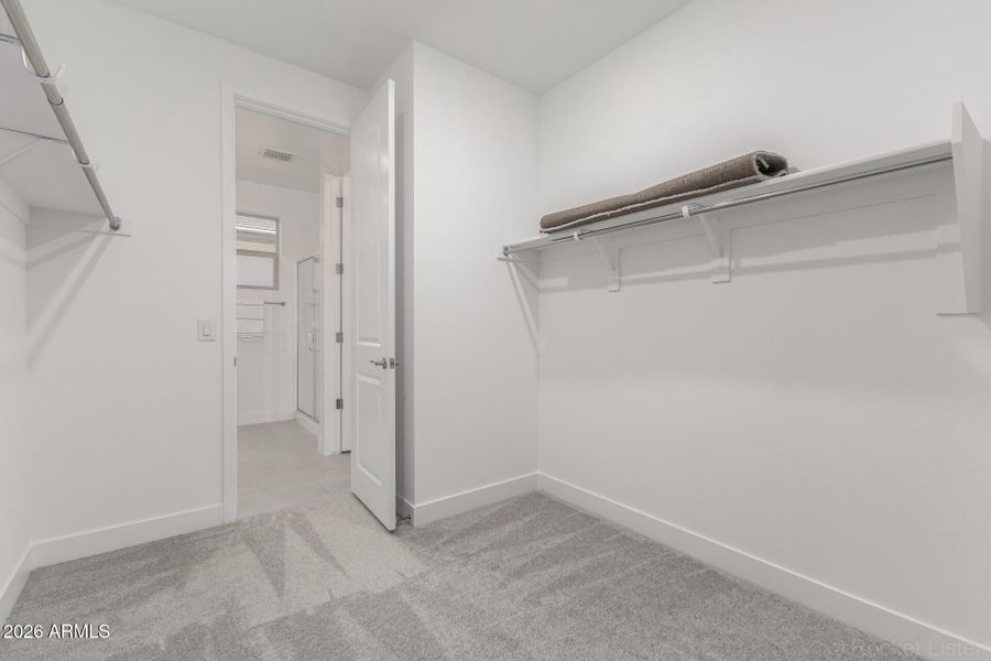 16 - Mecklenburg 2913