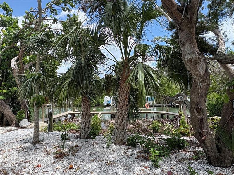 Natural landscape and outdoor views near  in Sarasota (Image 30).