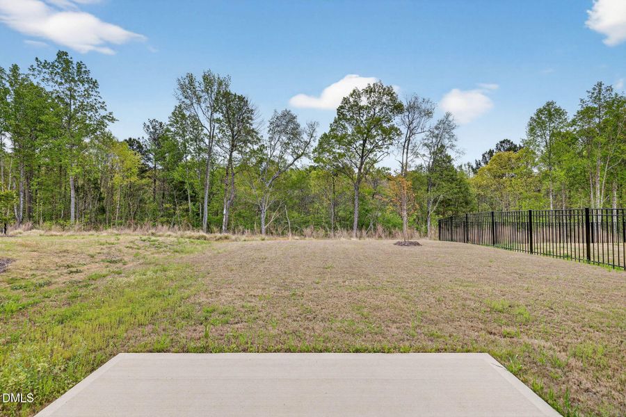 54-web-or-mls-IMG_0311 54-web-or-mls-IMG_0311