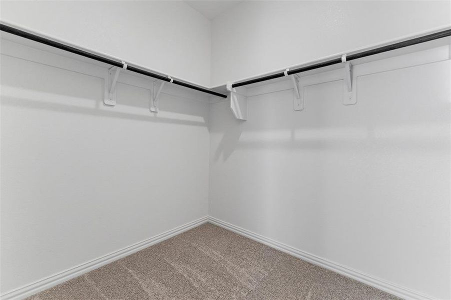 Walk in closet featuring carpet flooring
