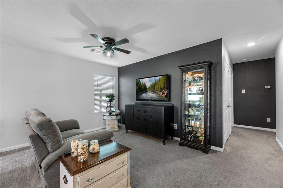 Upgraded accent walls in living room and hallway