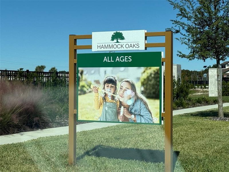 Community amenities in , Lady Lake (Image 16).