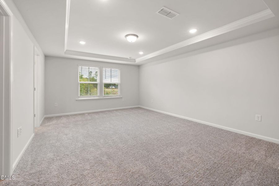 PRO HAMPTON LOT #77 PIC (22)