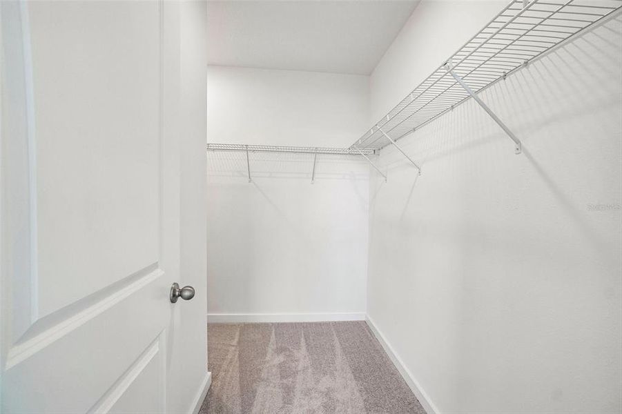Spacious, unfurnished interior of a new home in Willowbrook North, Winter Haven (Image 32). Spacious, unfurnished interior of a new home in Willowbrook North, Winter Haven (Image 32).