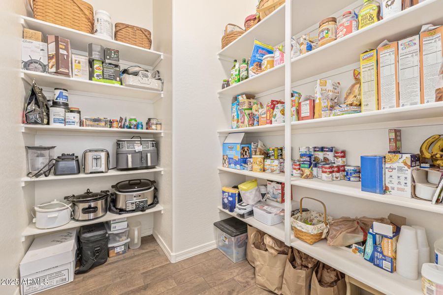 14-San Tan 14-San Tan