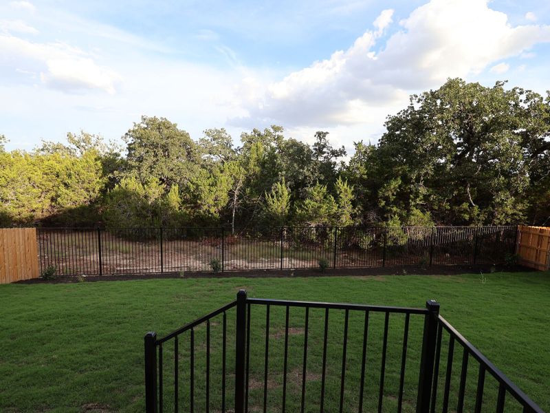 Backyard Backyard