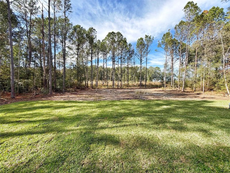 Natural landscape and outdoor views near  in Dayton (Image 38).