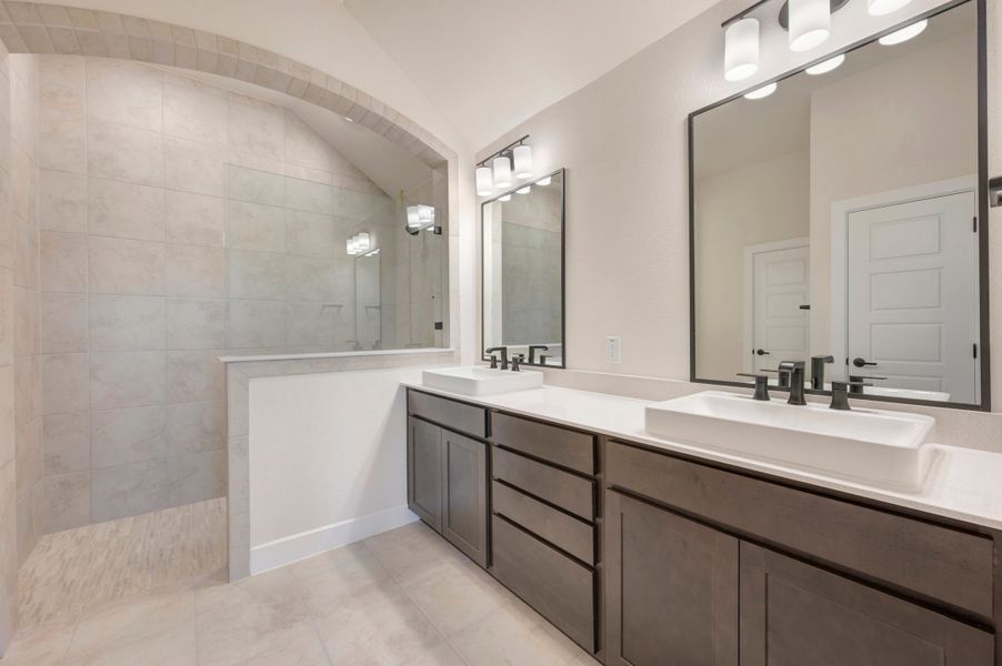 Owner's Bath